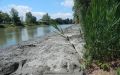 DSCN9399.JPG