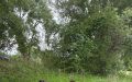 detske-rybarske-preteky-sala-2026-34