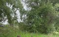 detske-rybarske-preteky-sala-2026-35