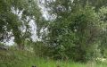 detske-rybarske-preteky-sala-2026-37