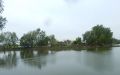 DSCN0997.JPG