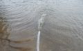 DSCN5007.JPG