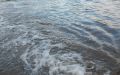 DSCN6987.JPG