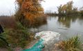 DSCN7371.JPG