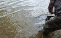 DSCN7580.JPG