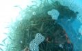 DSCN8049.JPG