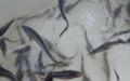 DSCN8805.JPG