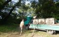 DSCN8812.JPG
