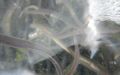 DSCN8906.JPG