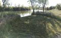 IMG-20220527-WA0009